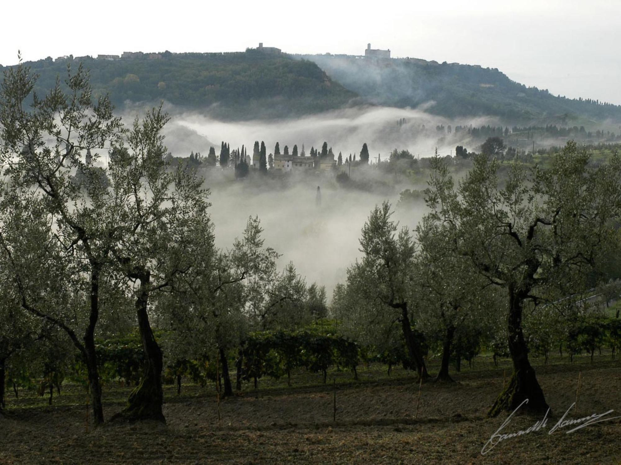 Holiday Home Le Pergole By Interhome Volterra Exterior photo